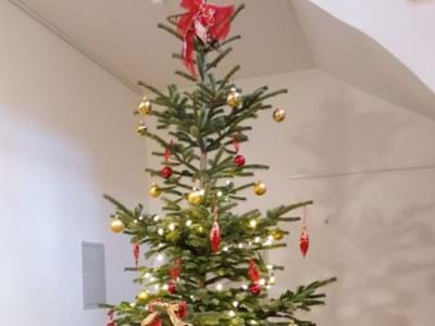 Weihnachtsbaum